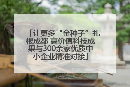 让更多“金种子”扎根成都 高价值科技成果与300余家优质中小企业精准对接