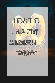 记者手记：渤海湾畔盐碱滩变身“新粮仓”
