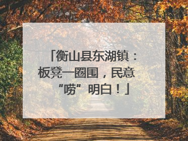 衡山县东湖镇：板凳一圈围，民意“唠”明白！