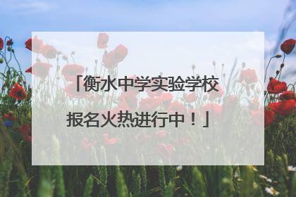 衡水中学实验学校报名火热进行中！