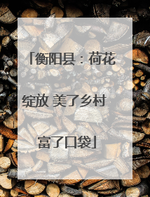 衡阳县：荷花绽放 美了乡村 富了口袋