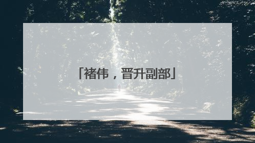褚伟，晋升副部