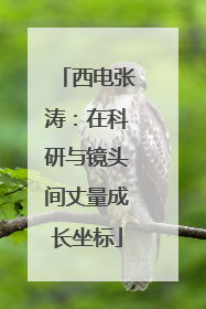 西电张涛：在科研与镜头间丈量成长坐标