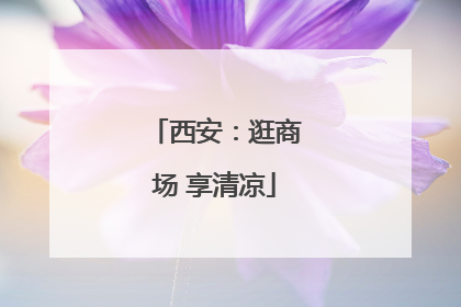 西安：逛商场 享清凉