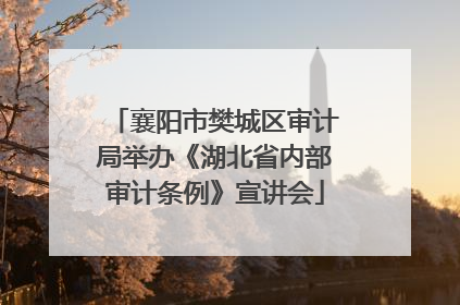 襄阳市樊城区审计局举办《湖北省内部审计条例》宣讲会