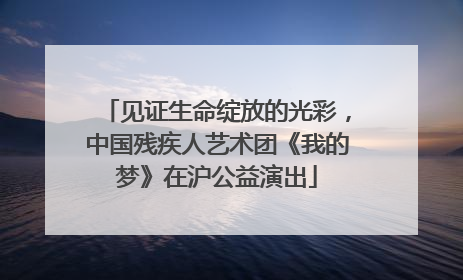 见证生命绽放的光彩，中国残疾人艺术团《我的梦》在沪公益演出