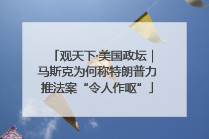 观天下·美国政坛｜马斯克为何称特朗普力推法案“令人作呕”