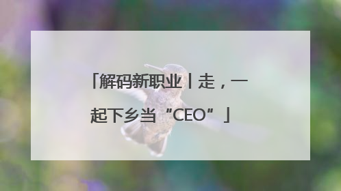 解码新职业丨走，一起下乡当“CEO”