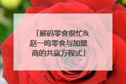 解码零食很忙&赵一鸣零食与加盟商的共赢方程式