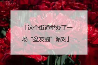 这个街道举办了一场“盆友圈”派对