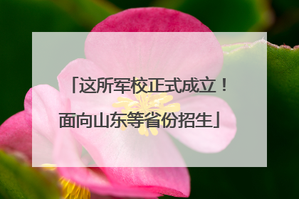 这所军校正式成立！面向山东等省份招生