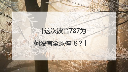 这次波音787为何没有全球停飞？
