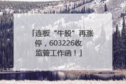 连板“牛股”再涨停，603226收监管工作函！