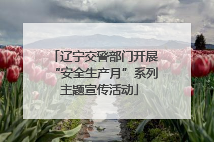 辽宁交警部门开展“安全生产月”系列主题宣传活动