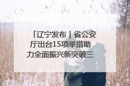 辽宁发布｜省公安厅出台15项举措助力全面振兴新突破三年行动决胜之战