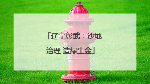 辽宁彰武：沙地治理 造绿生金