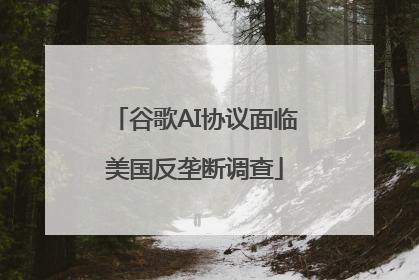谷歌AI协议面临美国反垄断调查