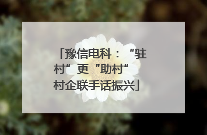 豫信电科：“驻村”更“助村” 村企联手话振兴