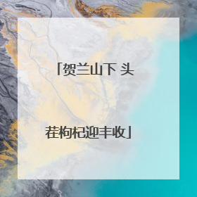 贺兰山下 头茬枸杞迎丰收