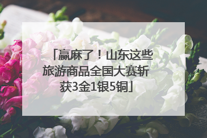 赢麻了！山东这些旅游商品全国大赛斩获3金1银5铜