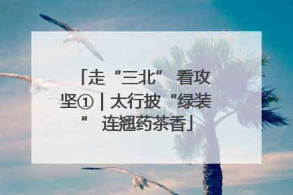 走“三北” 看攻坚①｜太行披“绿装” 连翘药茶香