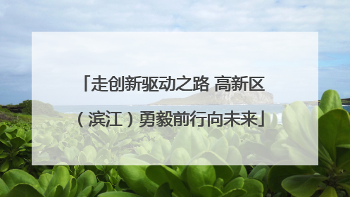走创新驱动之路 高新区（滨江）勇毅前行向未来