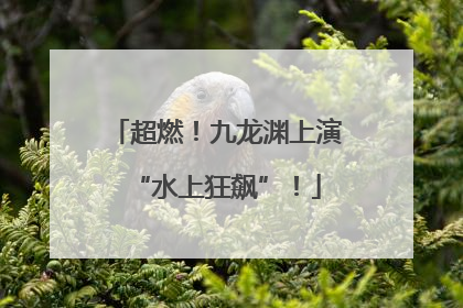 超燃！九龙渊上演“水上狂飙”！