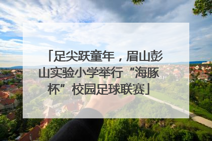 足尖跃童年，眉山彭山实验小学举行“海豚杯”校园足球联赛