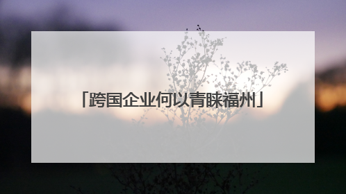 跨国企业何以青睐福州