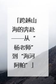 跨越山海的奔赴——从“杨老师”到“海河阿帕”