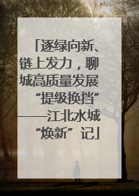 逐绿向新、链上发力，聊城高质量发展“提级换挡”——江北水城“焕新”记