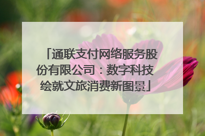 通联支付网络服务股份有限公司：数字科技绘就文旅消费新图景