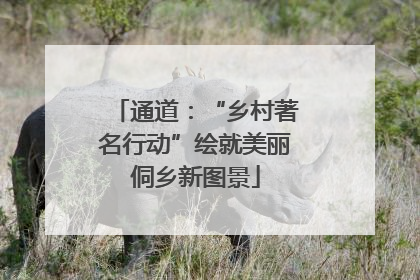 通道：“乡村著名行动”绘就美丽侗乡新图景