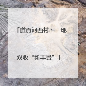 道真河西村：一地双收“新丰景”