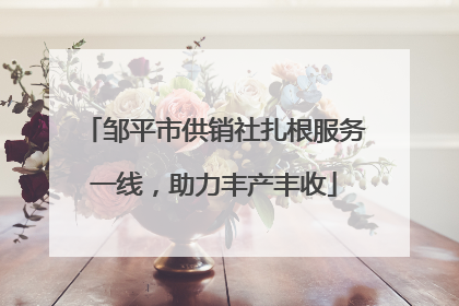 邹平市供销社扎根服务一线，助力丰产丰收