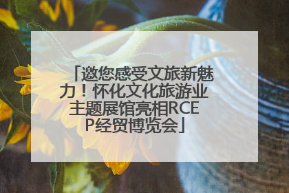 邀您感受文旅新魅力！怀化文化旅游业主题展馆亮相RCEP经贸博览会