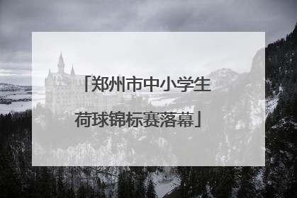 郑州市中小学生荷球锦标赛落幕