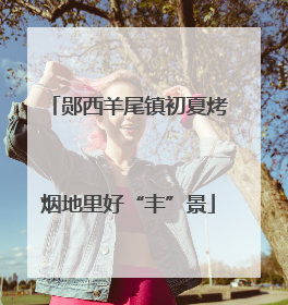 郧西羊尾镇初夏烤烟地里好“丰”景