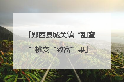 郧西县城关镇“甜蜜”桃变“致富”果