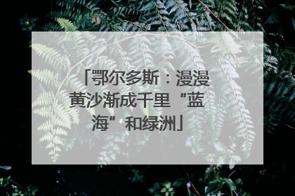 鄂尔多斯：漫漫黄沙渐成千里“蓝海”和绿洲