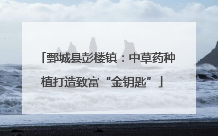 鄄城县彭楼镇：中草药种植打造致富“金钥匙”