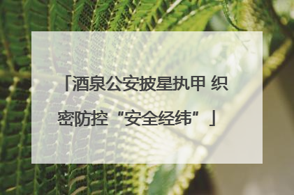 酒泉公安披星执甲 织密防控“安全经纬”