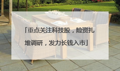 重点关注科技股，险资扎堆调研，发力长钱入市