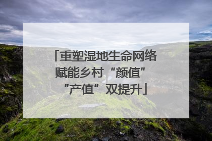 重塑湿地生命网络 赋能乡村“颜值”“产值”双提升