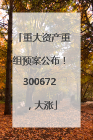 重大资产重组预案公布！300672，大涨