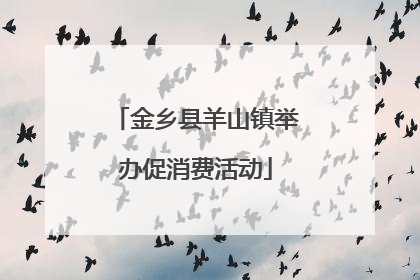 金乡县羊山镇举办促消费活动