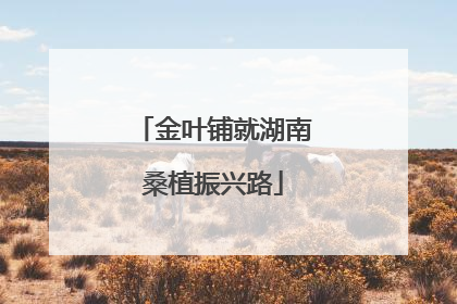 金叶铺就湖南桑植振兴路