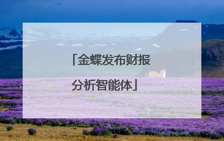 金蝶发布财报分析智能体