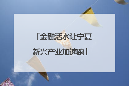 金融活水让宁夏新兴产业加速跑