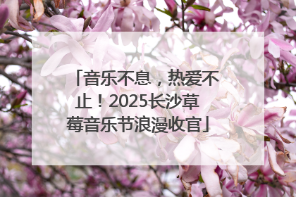音乐不息，热爱不止！2025长沙草莓音乐节浪漫收官